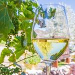 Wineries & Breweries in the Area