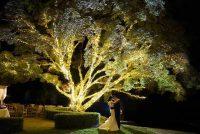 49d4a3d6-5b75-4298-9a9e-814886a5e5d7