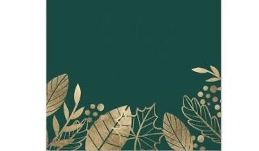 Footer image