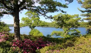 The Wedding Website of Laura Kenney and Brian Prescott