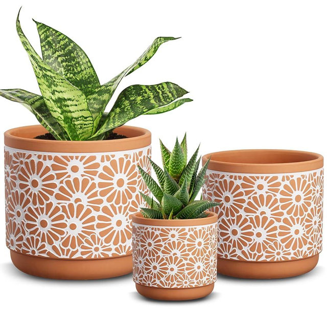 Qipecedm 3 Piece Ceramic Plant Pots, 5.7/4.7/3.5/inch Planters with Drainage Hole, Outdoor Indoor Flower Pots Set, Modern Decorative Plant Pots for Lilies, Cacti, Succulents, Snakes, Bamboo(Red)