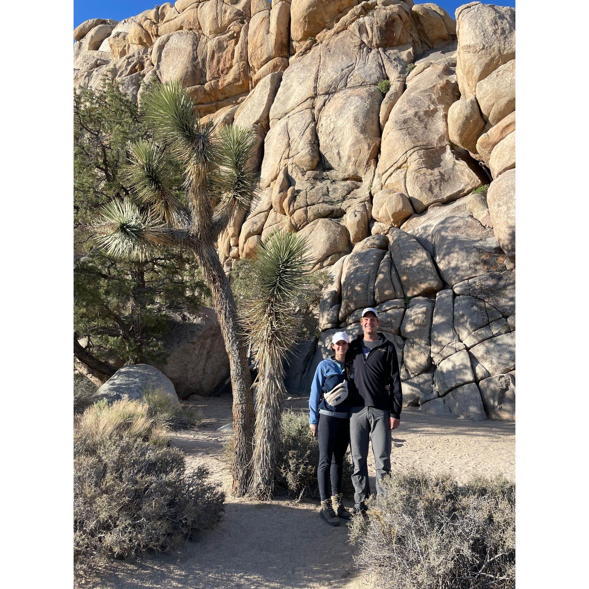 Joshua tree camping trip at the end of med school!