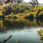 Palomarin Trail - Bolinas