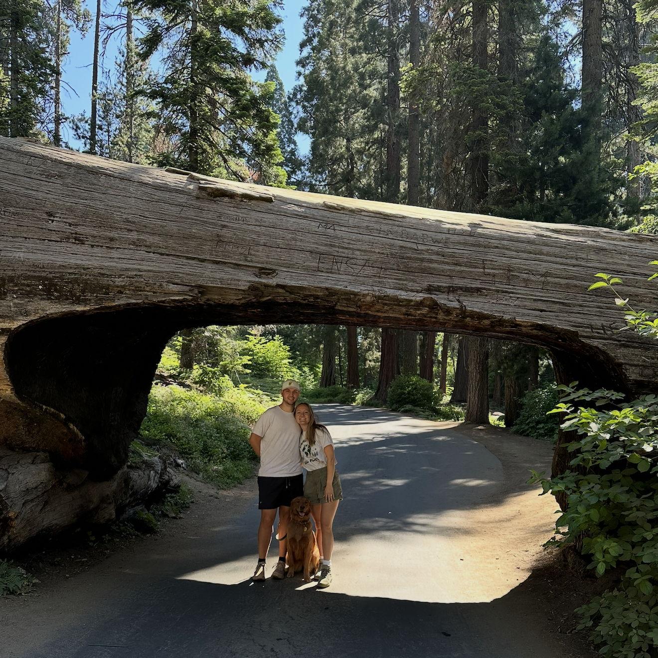 Sequoia National Park 2025