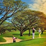 Mimosa Plus Golf Course