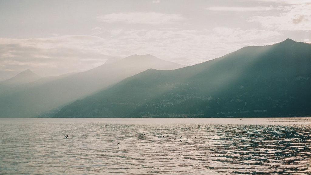 The Wedding Website of Whitney Howard and Justin Cheek