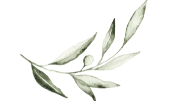 The Wedding Website of Maddie Sarff-Foden and Drew Moreland