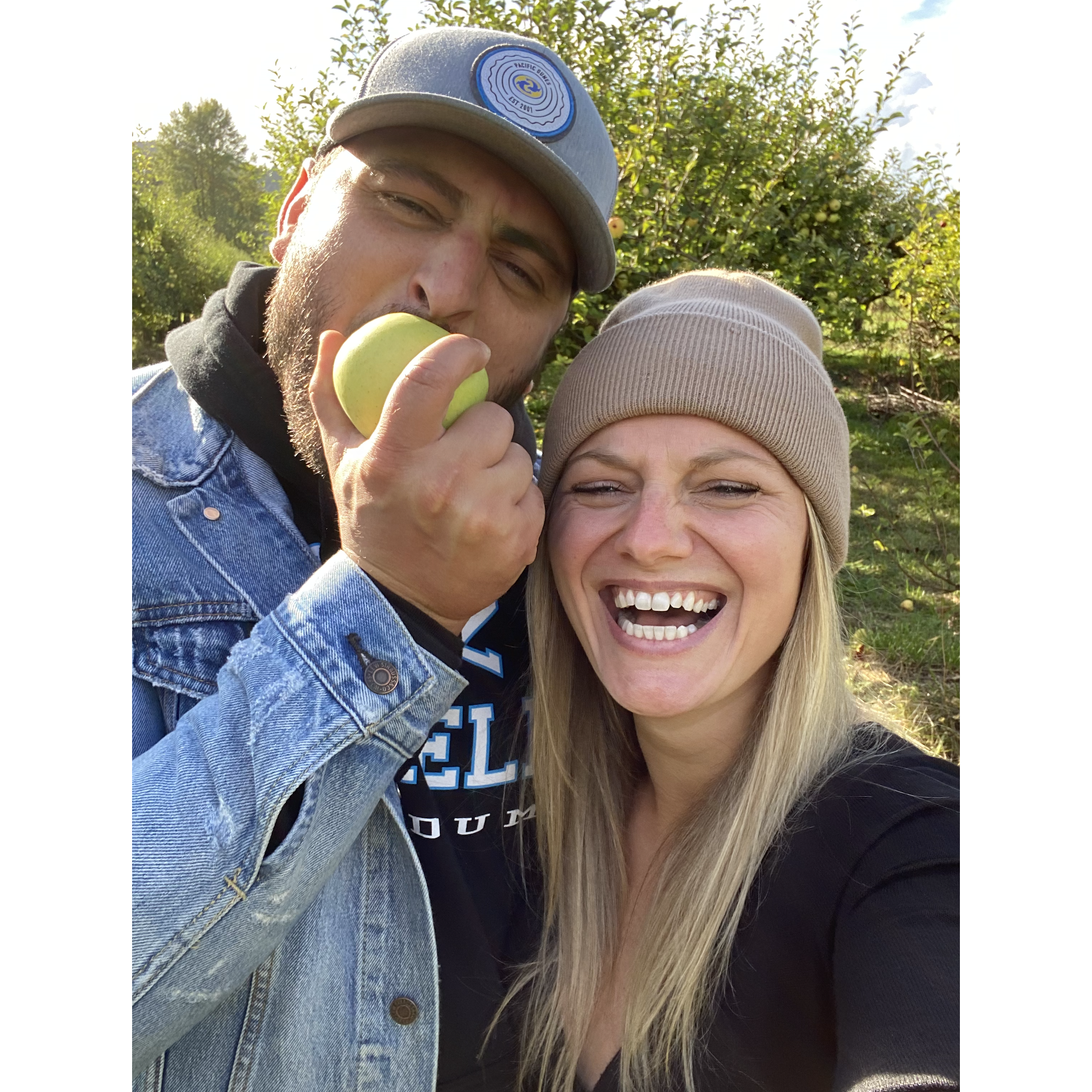 Portland Apple Picking