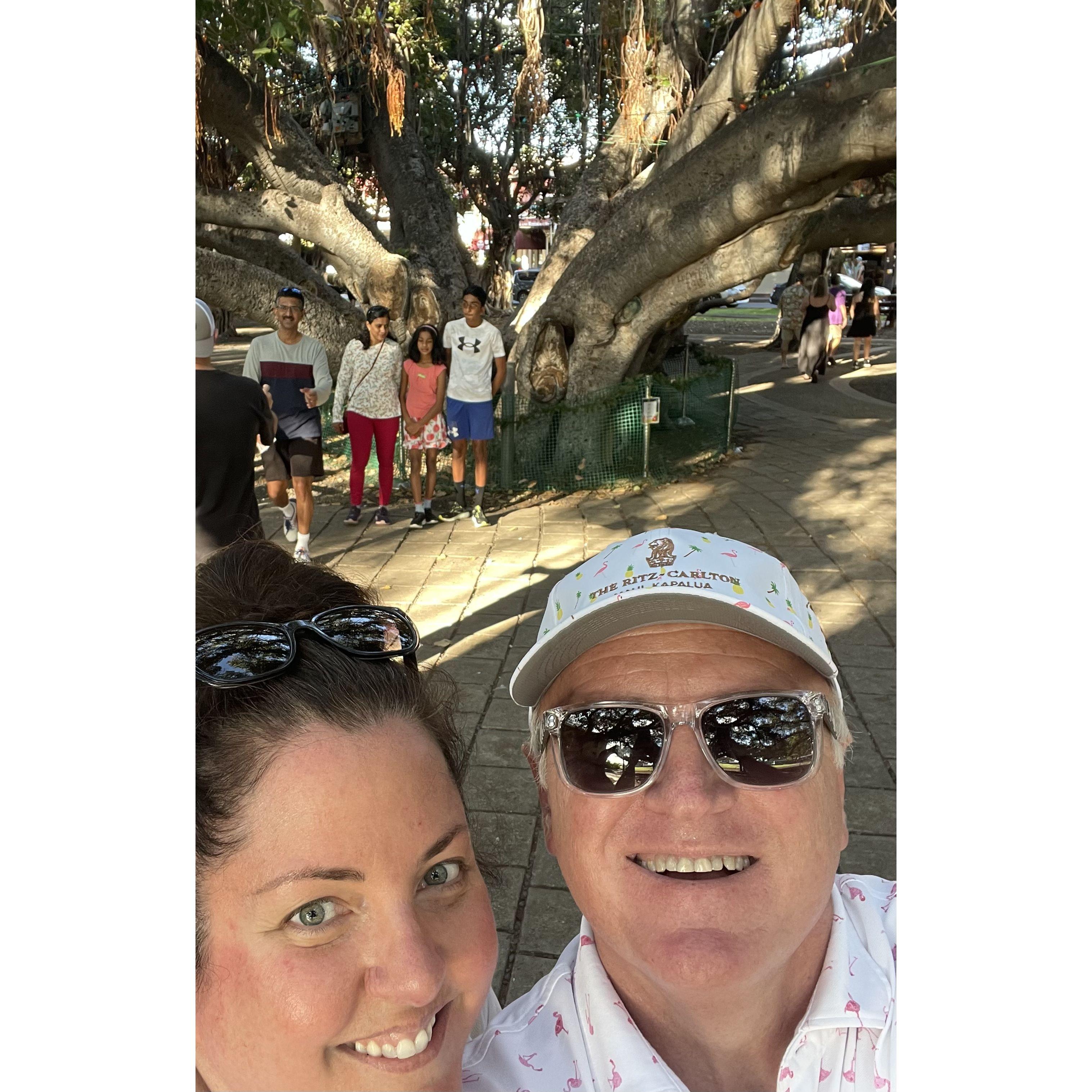 Lahaina, Hawaii Banyan tree 2022