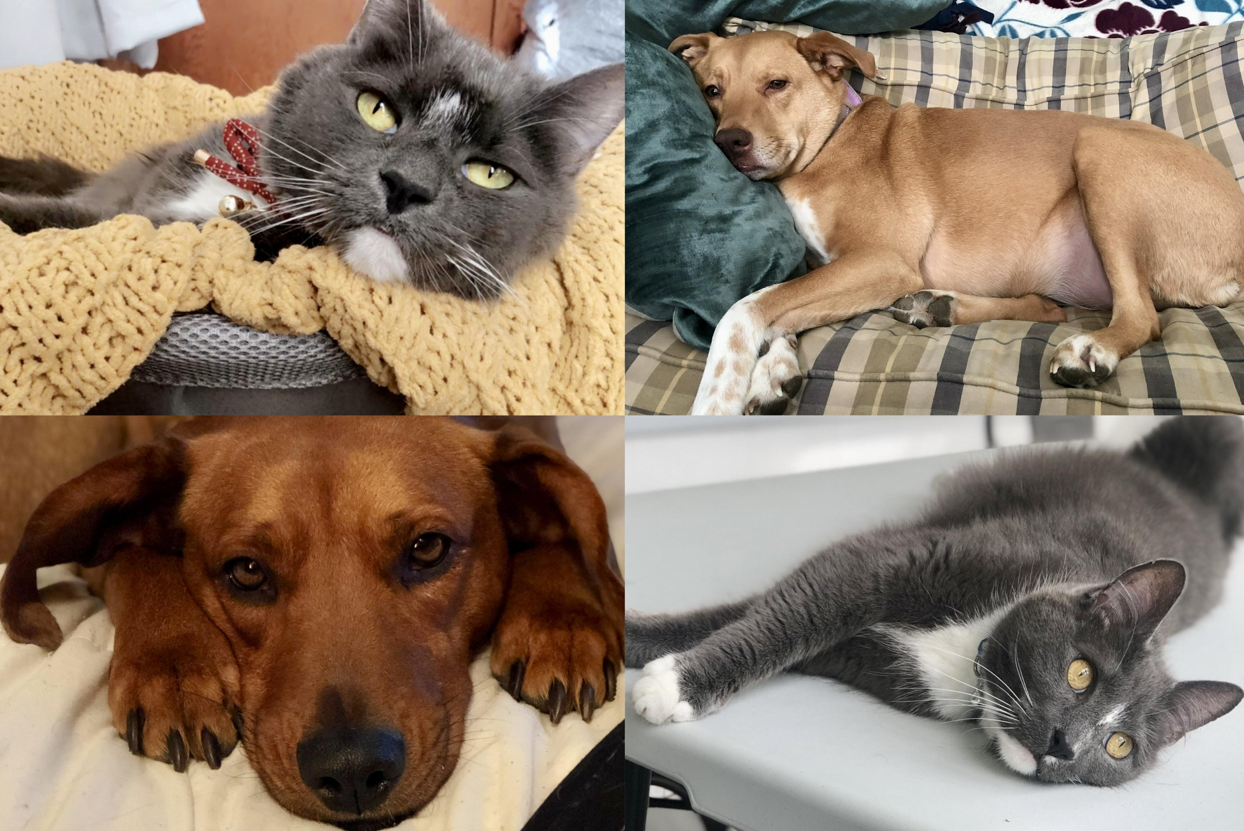 The Wedding Website of Kyle Murphy and Anna Footit