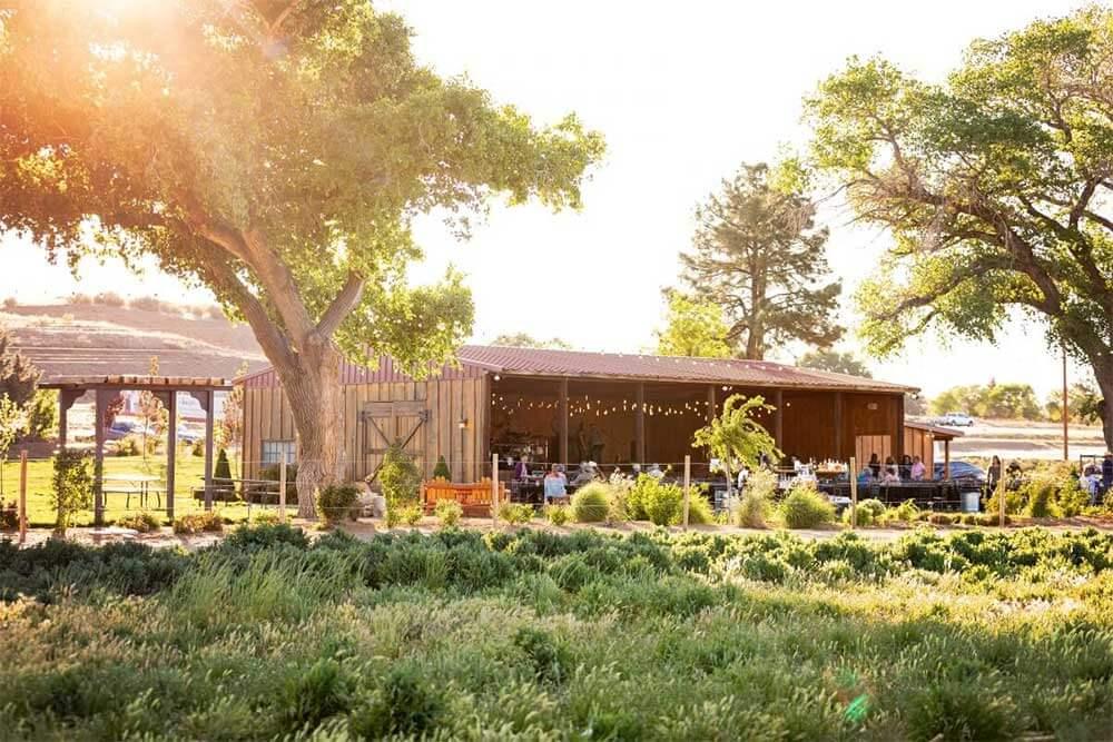 The Wedding Website of Violet Bartlett and Cameron Rosendahl