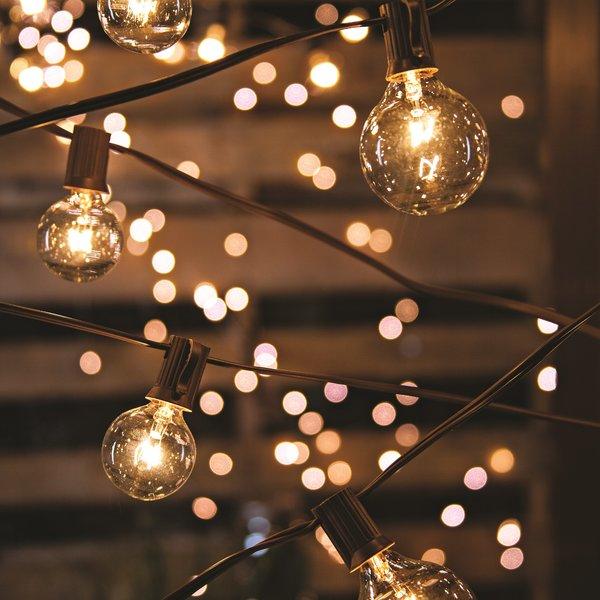 20-Light 19 ft. Globe String Lights                    by                              The Gerson Companies