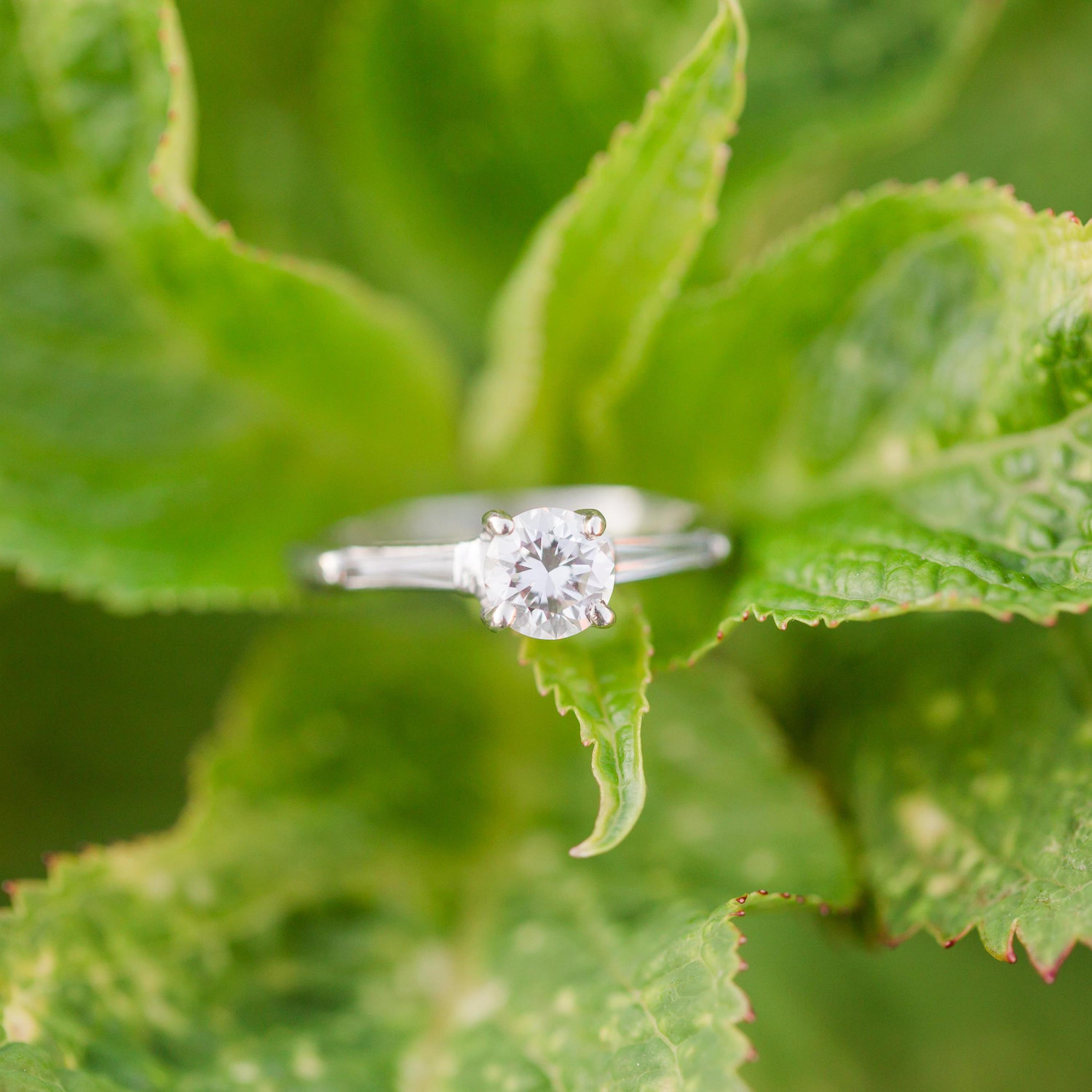 Amanda's beautiful ring, previously belonged to Al's Grandma.