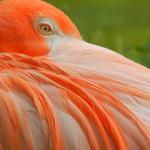 Columbus Zoo and Aquarium