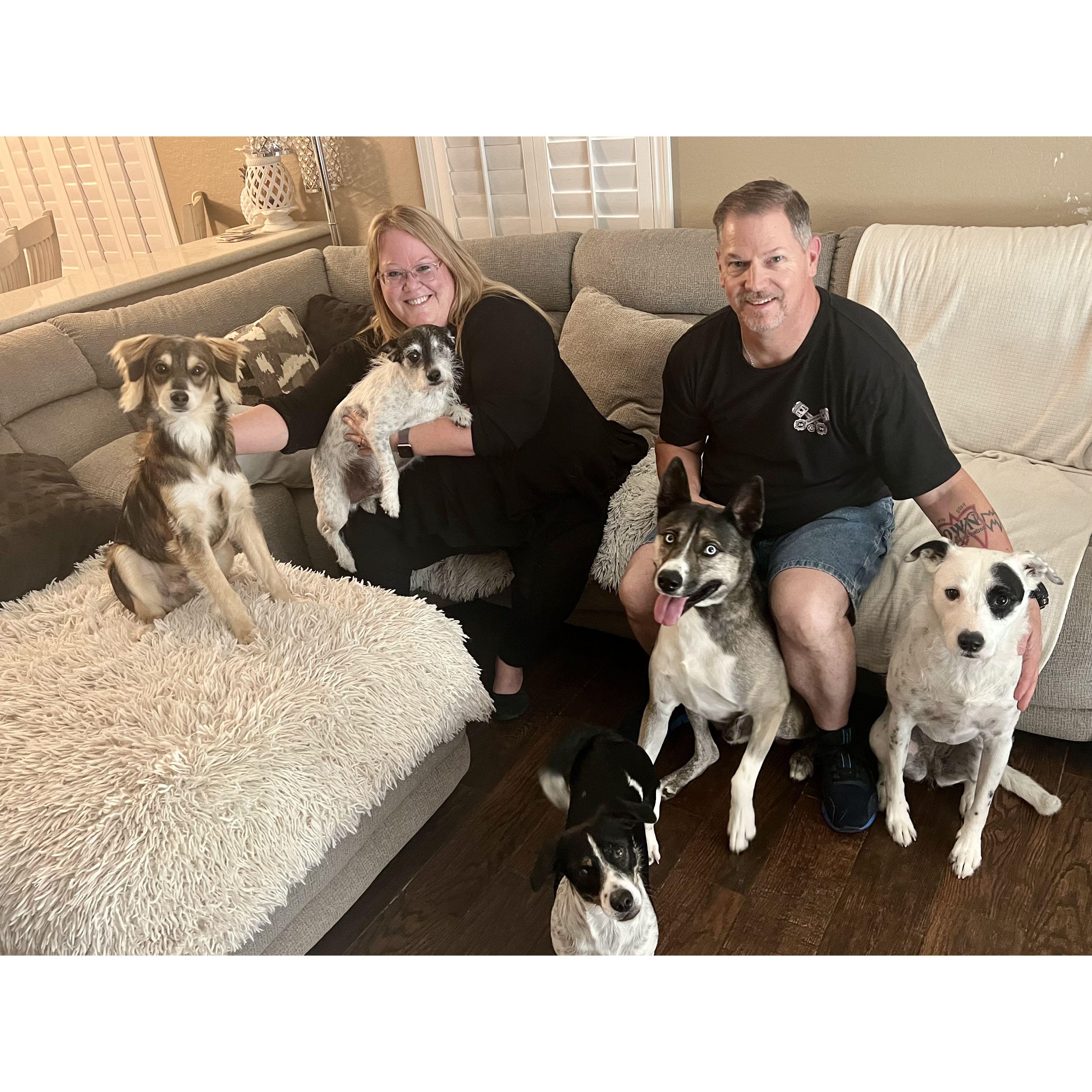 Robert, Pam and the fur kids