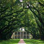 Oak Alley Plantation