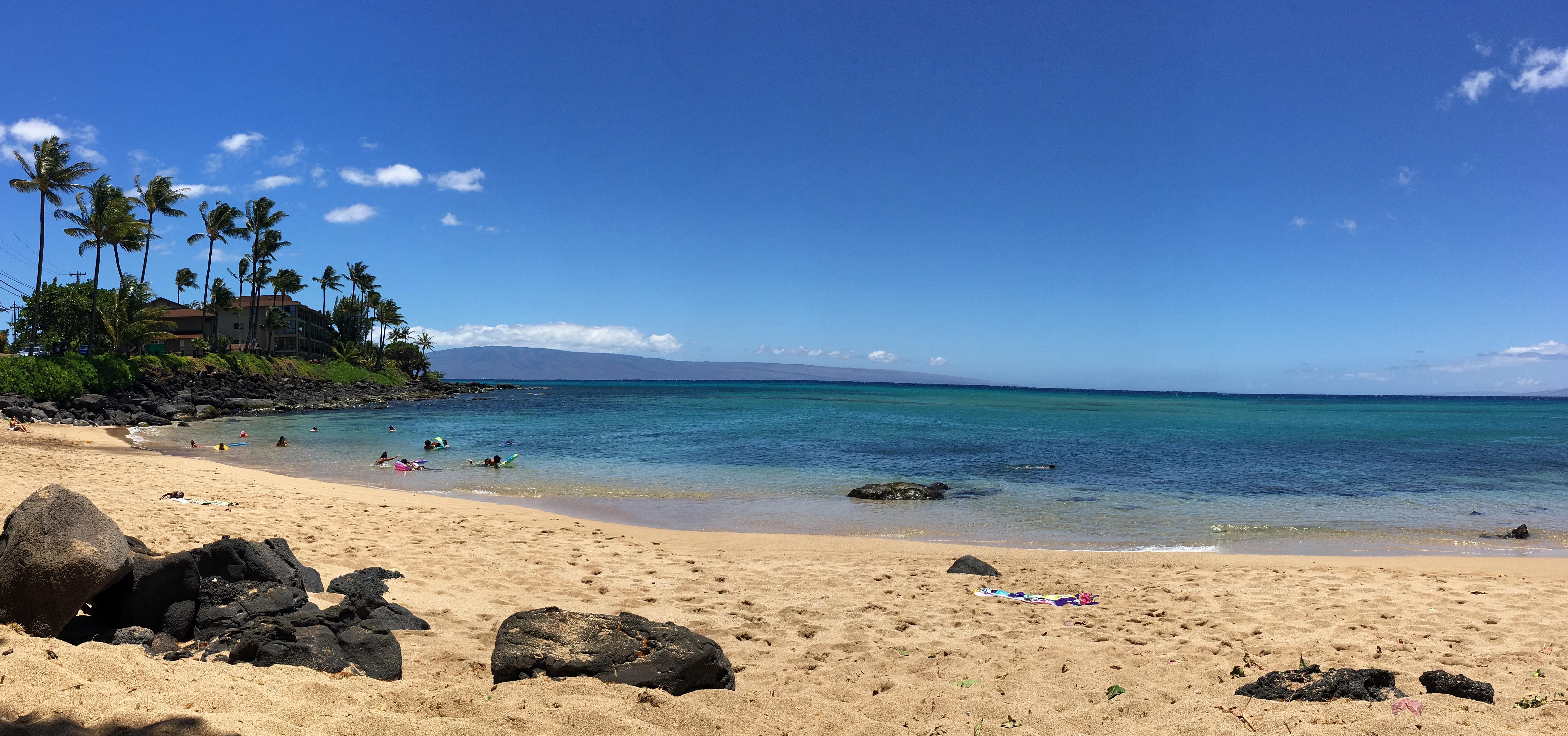 The Wedding Website of Stephanie Dowds and Shane Herzig