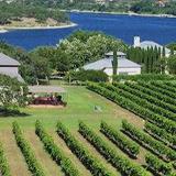 Stone House Vineyard