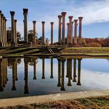 United States National Arboretum