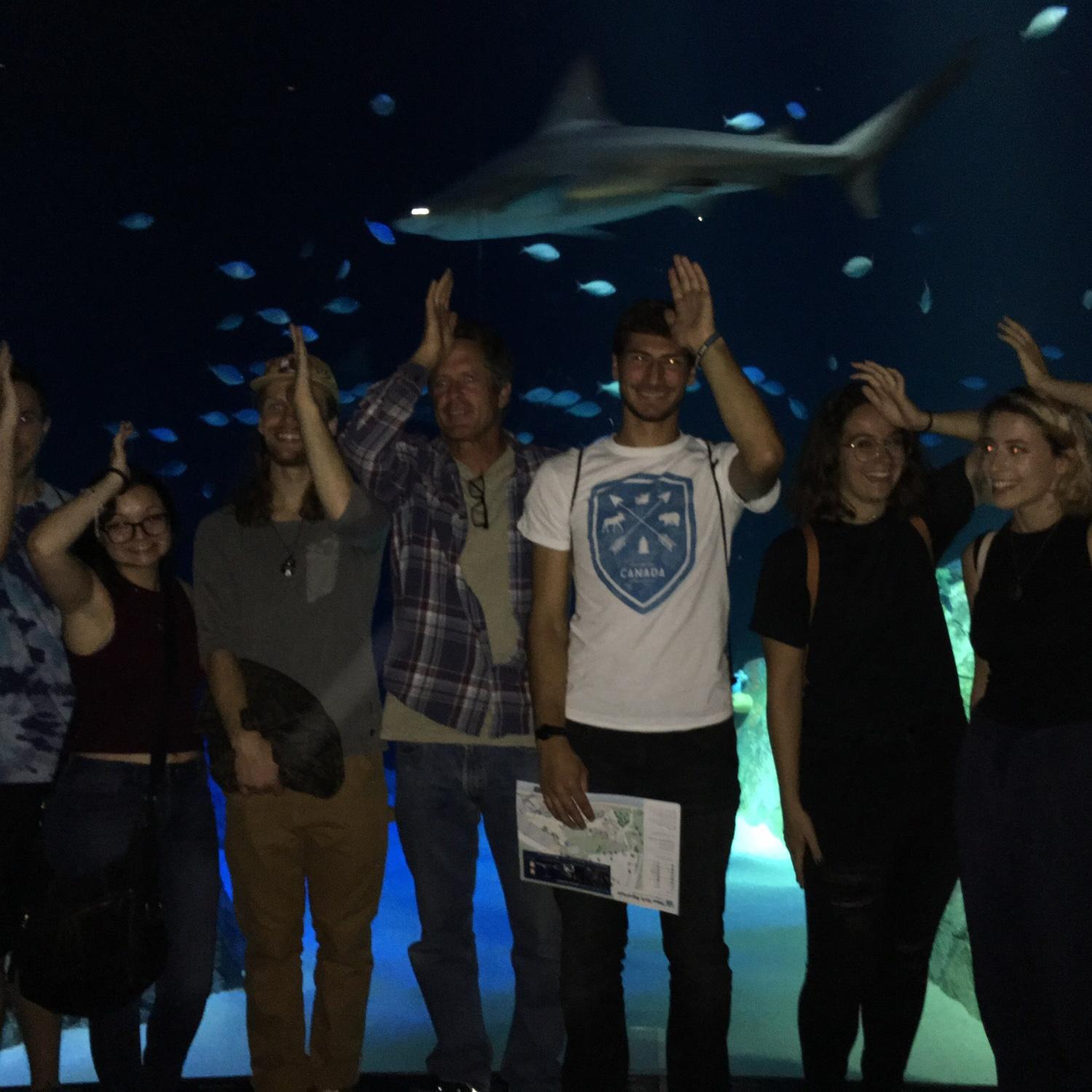 09/22/2018

Our independent research took us on lots of trips together, including several outings to the New York Aquarium!