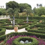 Bermuda Botanical Gardens