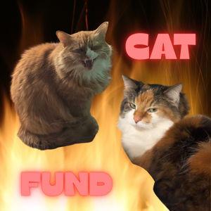Spoiled Cats Fund