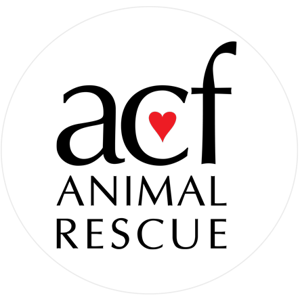 Charity - ACF Animal Rescue (in loving memory of Hershey)
