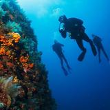 Scuba Diving