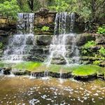 Zilker Botanical Garden
