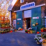 Russell Orchards