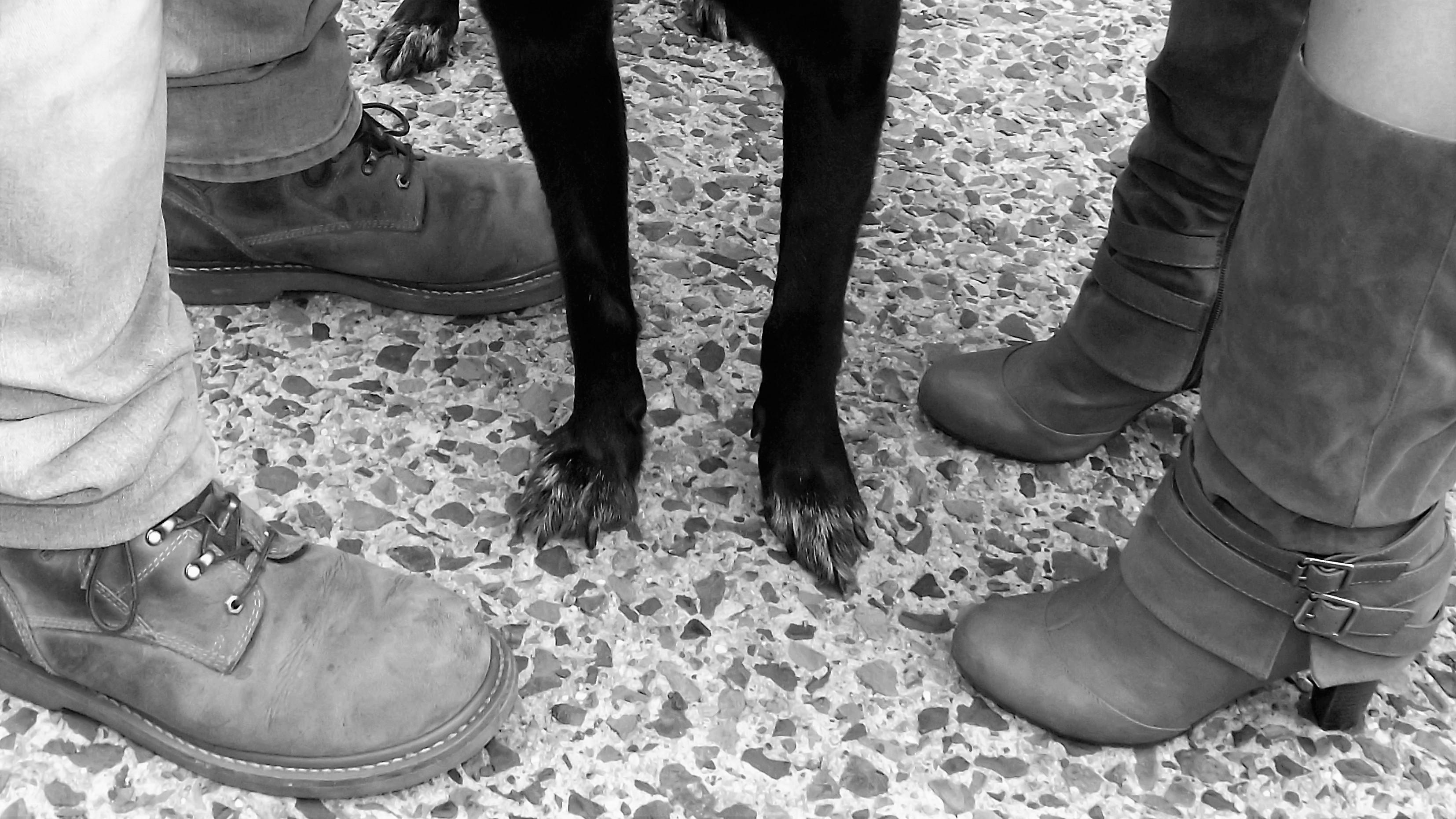 The Wedding Website of Nicole Stabene and Ryan McAvey