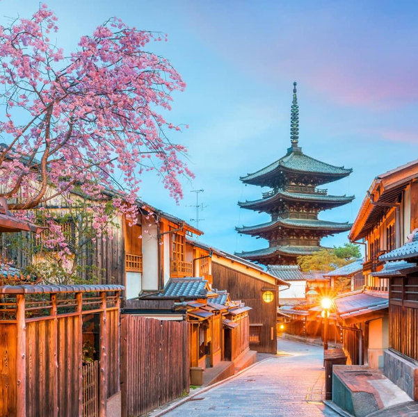 Operation Honeymoon: Send us to Japan!