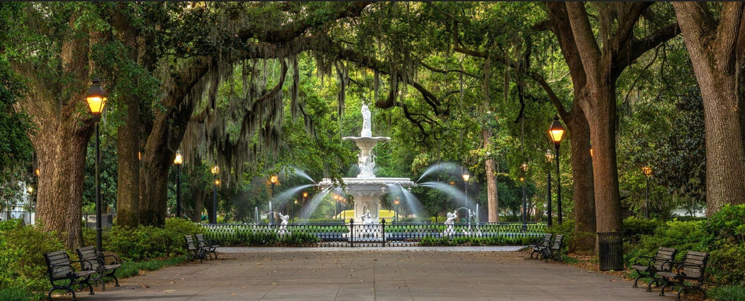 The Wedding Website of Alex Ransenberg and Gilli Dillard