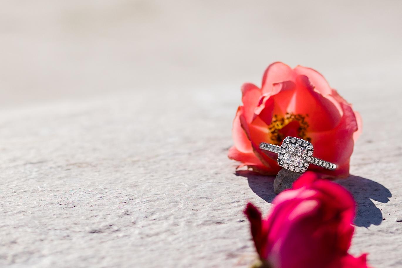 The Wedding Website of Rocquel Doughty and Cesar Motta