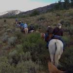 Swan Valley Outfitters