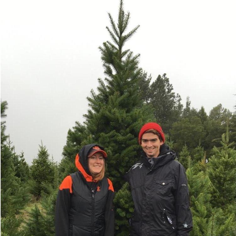 Our tradition of chopping down a tree each year