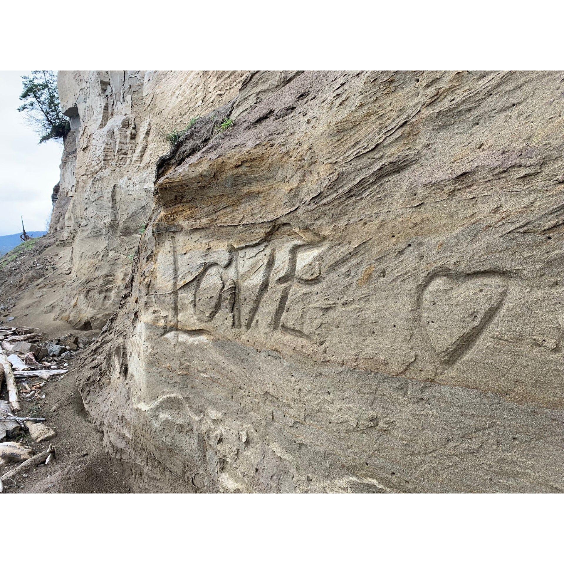 Seen on Guemes Island beach walk