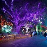 Phoenix Zoo