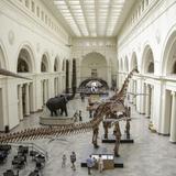 Field Museum