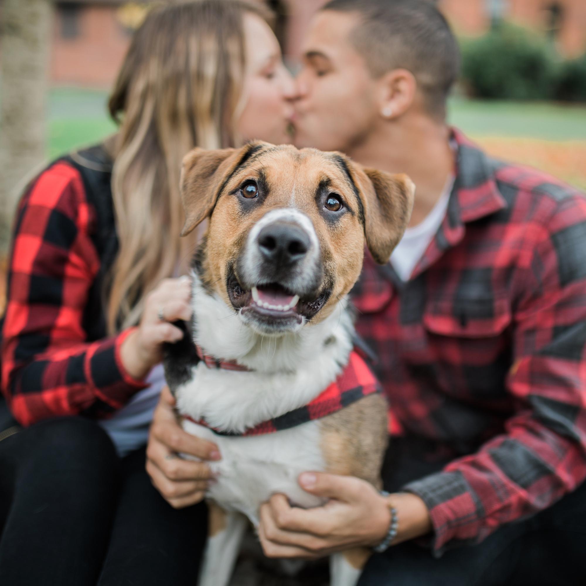 Our fur baby (1 of 2), Cooper.