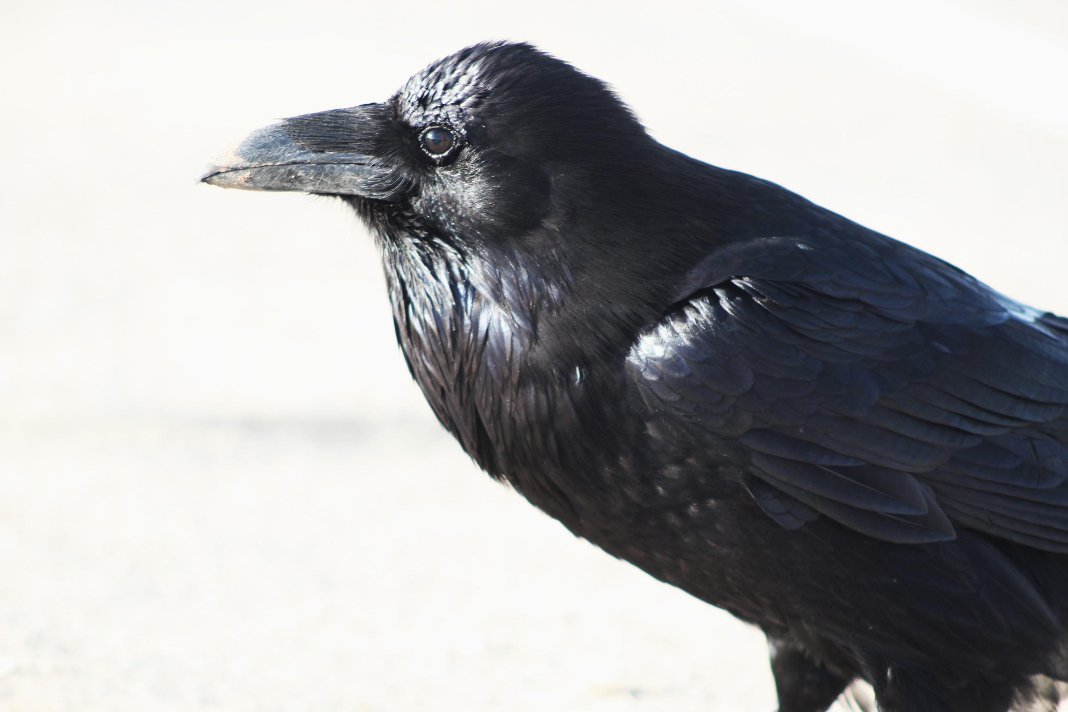 49fa8451-0fe6-4f26-9bc6-c25d6e52a9d6