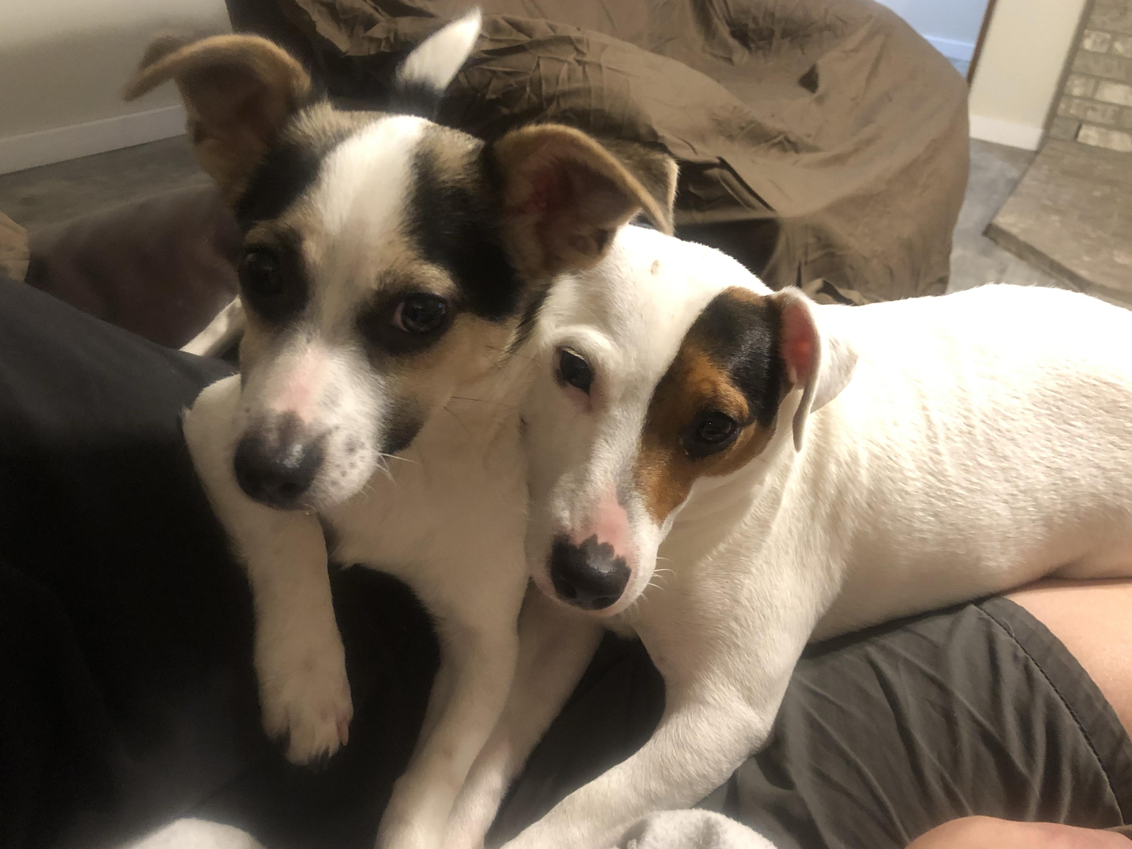 The Wedding Website of Kyla Bernardy and Brian Turner