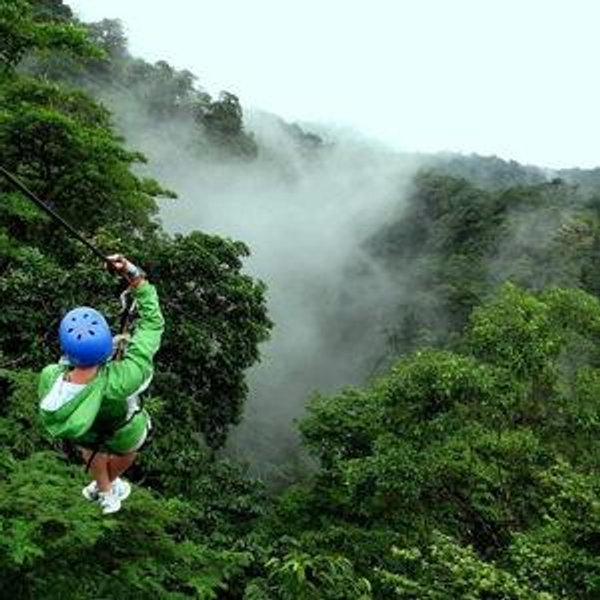 Zip Lining Across the Rainforest Canopy