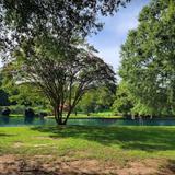 Freedom Park