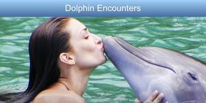 Dolphin and Snorkeling Adventures