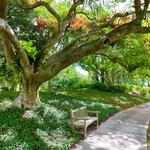 Mounts Botanical Garden