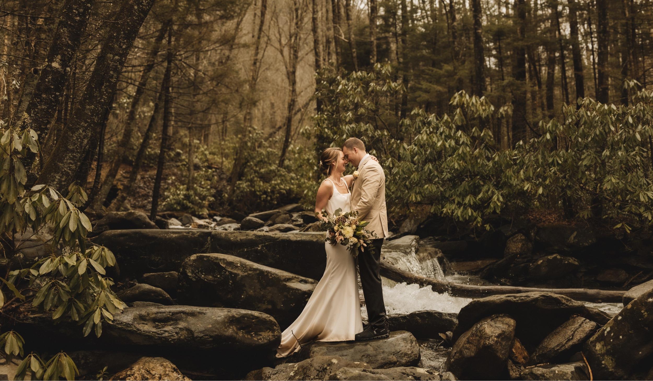 Hero Slideshow Image 3