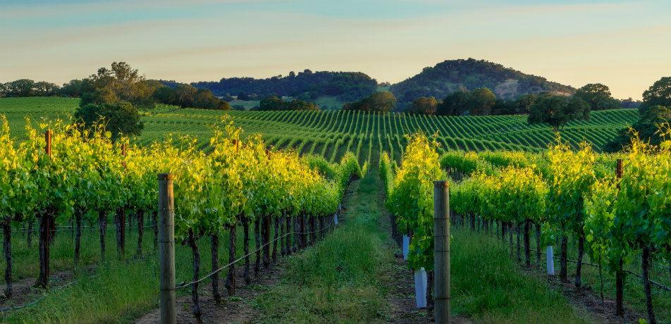 The Wedding Website of Rachel Sands and JT Meyer