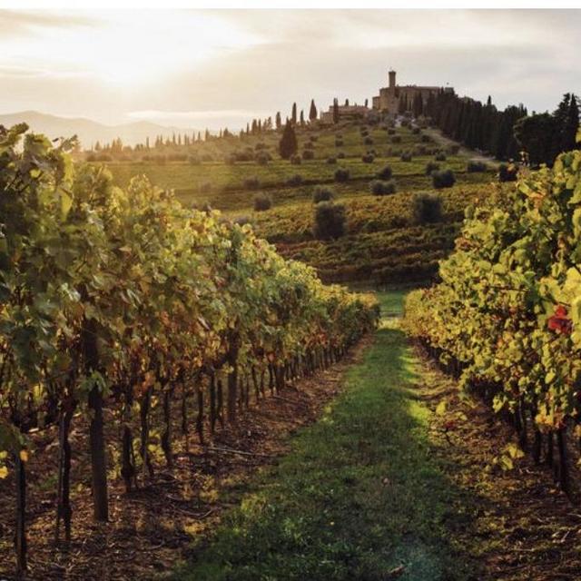 Wine Tasting in Tuscany
