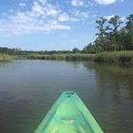 Kayak the Back Waters